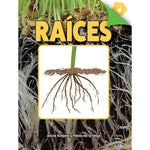 Carson-Dellosa Discovery Library Raíces Book, Hardcover (CD-9781731654472)