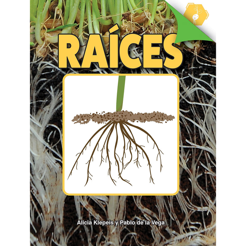 Carson-Dellosa Discovery Library Raíces Book, Hardcover (CD-9781731654472)
