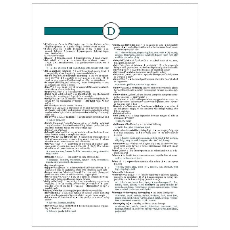 Federal Street Press Webster's All-in-One Dictionary & Thesaurus, Third Edition (FSP9781596951846)