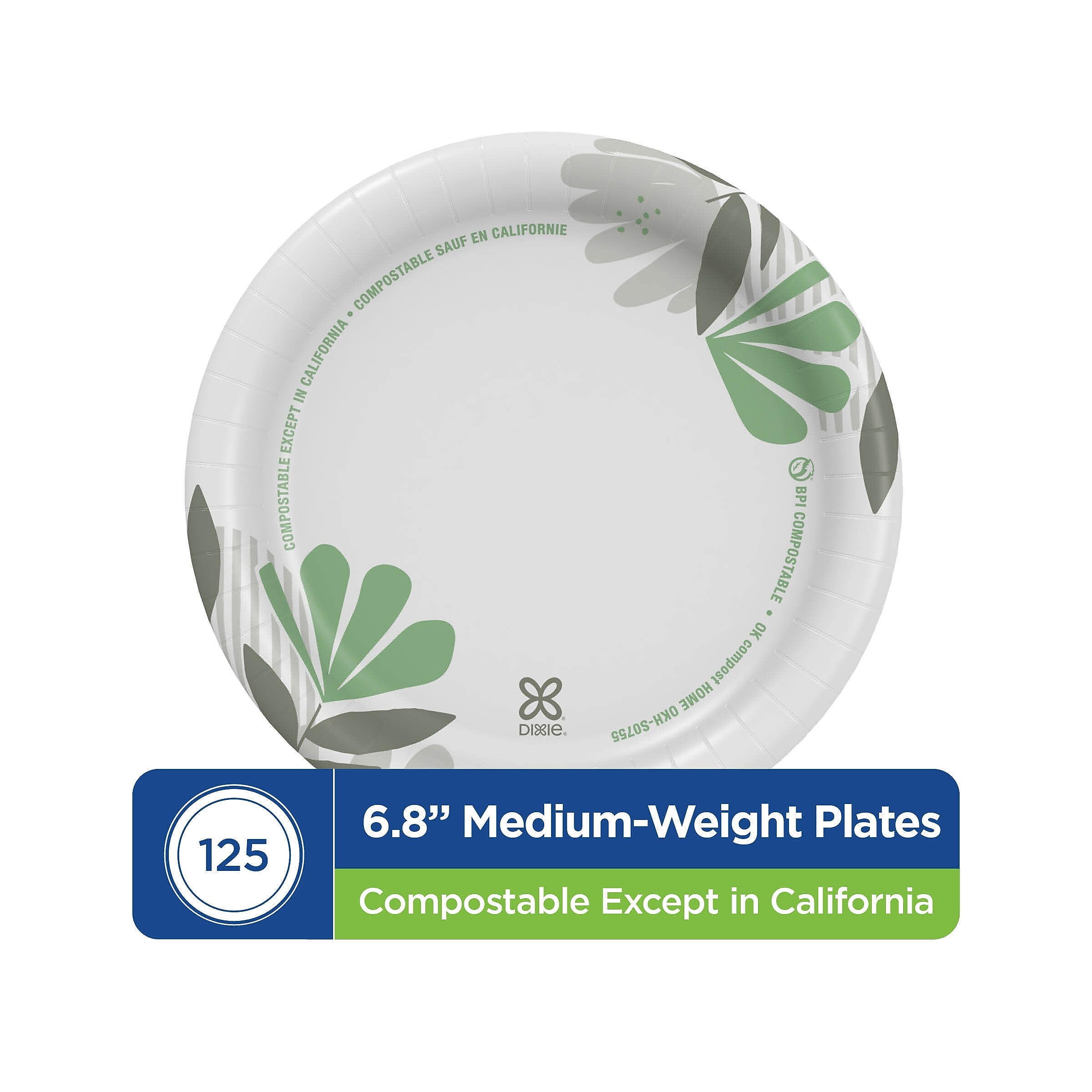 Dixie Pathways 6.8" Paper Plates, Multicolored, 125 Plates/Pack (UX7WS)