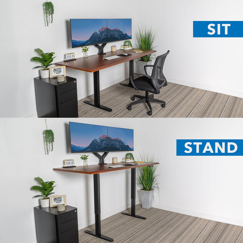Mount-It! Dual Motor 72"W Electric Adjustable Standing Desk, Black/Hazelnut Brown (MI-18126)