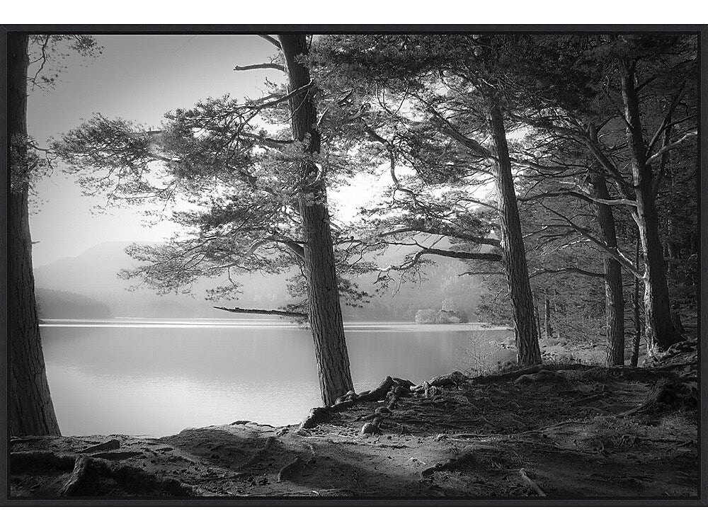 Amanti Art Scottish Lake, Canvas, 33" x 23" (A42675514929)