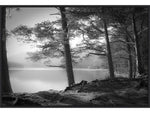 Amanti Art Scottish Lake, Canvas, 33" x 23" (A42675514929)