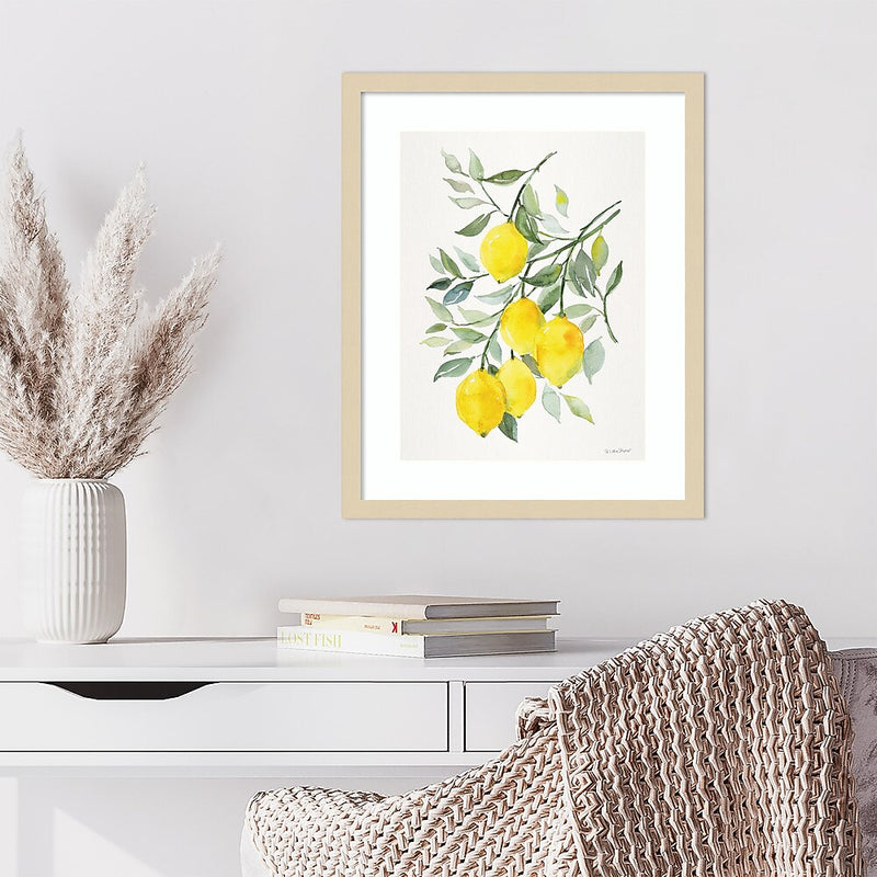 Amanti Art Lemon Citrus by Patricia Shaw Wood Framed Wall Art Print, 17" x 21" (A42675506061)