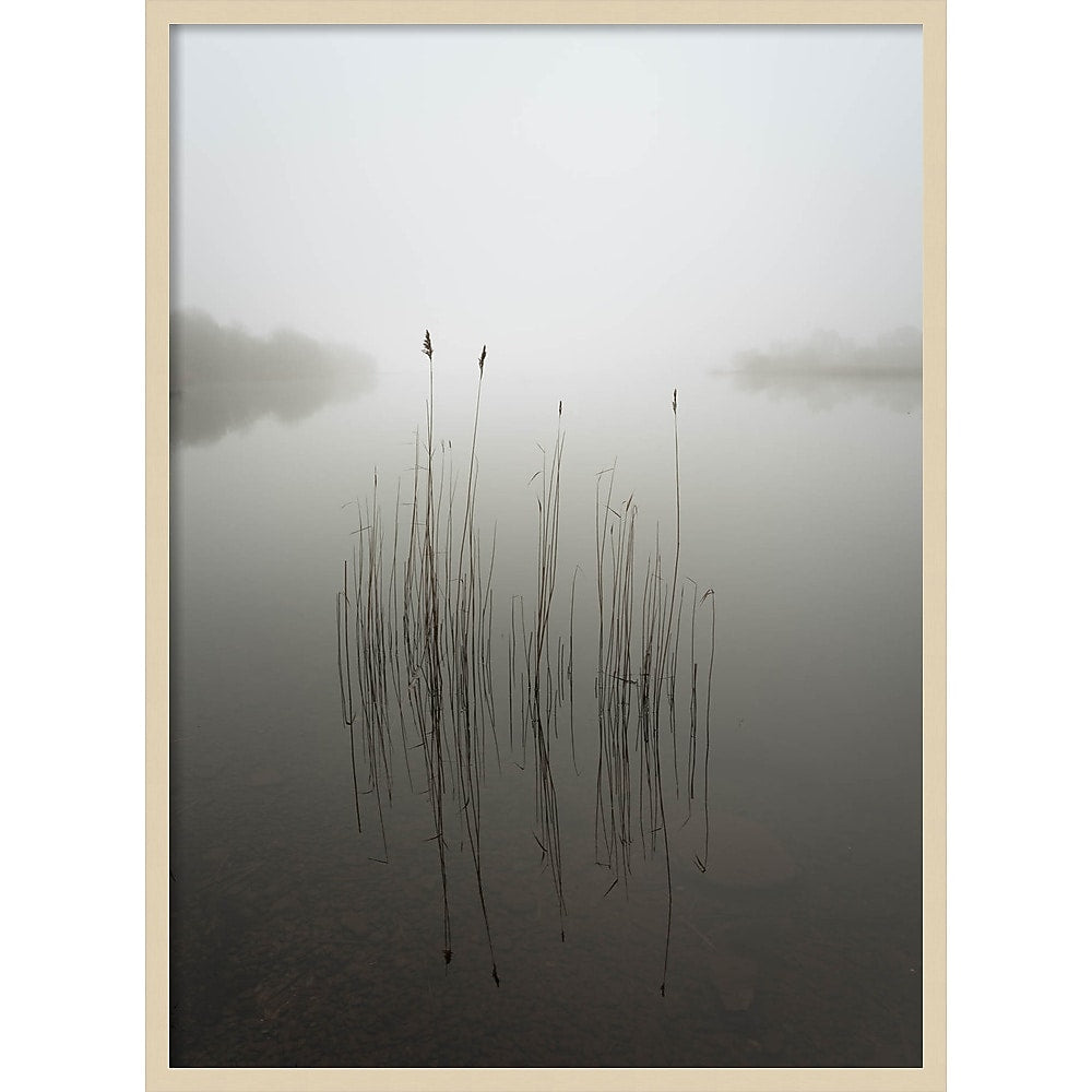Amanti Art Reeds in the mist by David Ahern Wood Framed Wall Art Print, 30" x 41" (A42677389619)