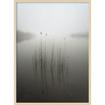 Amanti Art Reeds in the mist by David Ahern Wood Framed Wall Art Print, 30" x 41" (A42677389619)