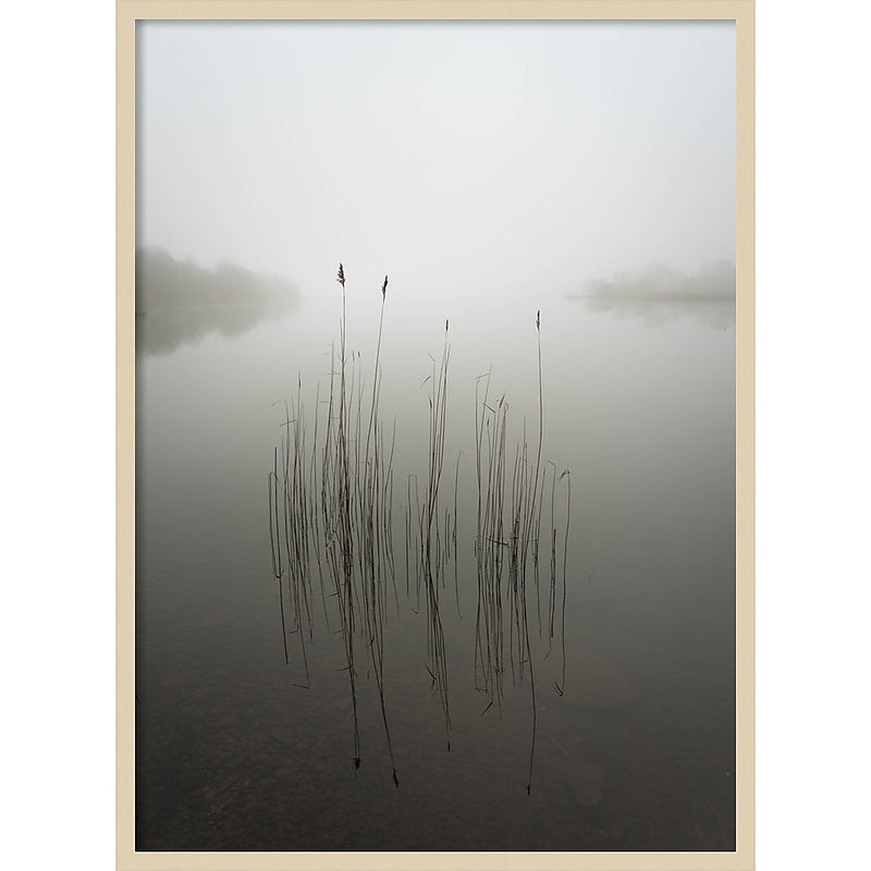Amanti Art Reeds in the mist by David Ahern Wood Framed Wall Art Print, 30" x 41" (A42677389619)