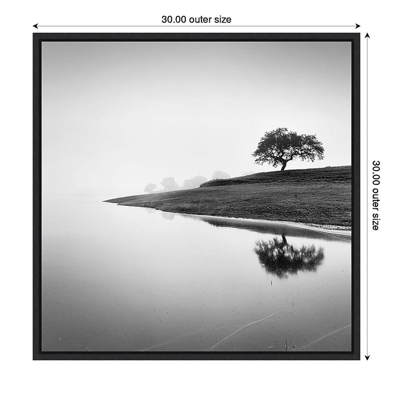 Amanti Art Tree in the Lake by Alexandre Manuel Framed Canvas Wall Art Print, 30" x 30" (A42678027394)