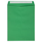 JAM Paper Self Seal Nonstandard Envelope, 9" x 12", Holiday Green, 250/Pack (FE-7280-12-250)