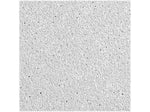 Armstrong DUNE Angled Tegular Edge Ceiling Tile, 24" x 24", White, 12/Carton (BP1853)