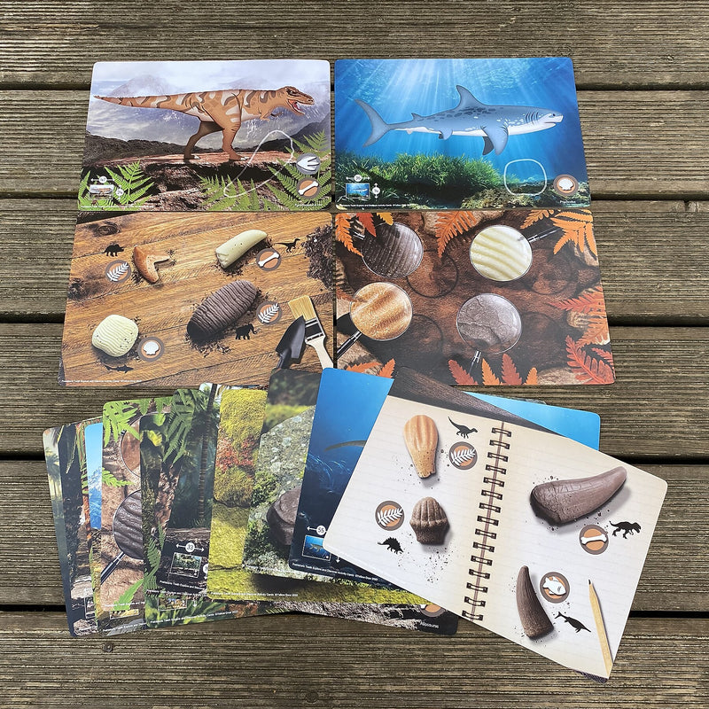 Yellow Door Prehistoric Teeth Explore and Discover Activity Cards, 16/Set (YUS1203)