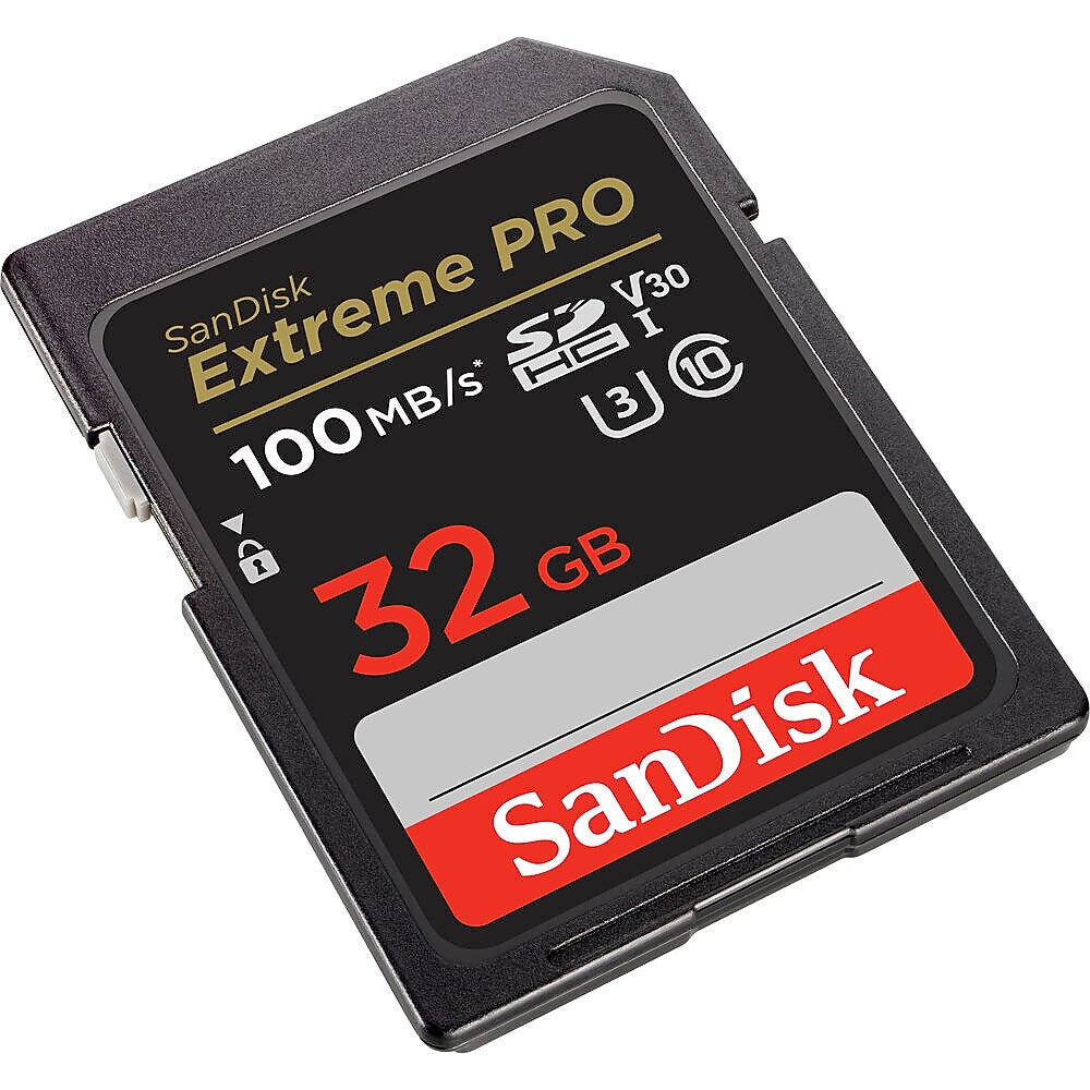 SanDisk Extreme PRO 32GB SDHC Memory Card, Class 10, UHS-I, V30 (SDSDXXO-032G-ANCIN)