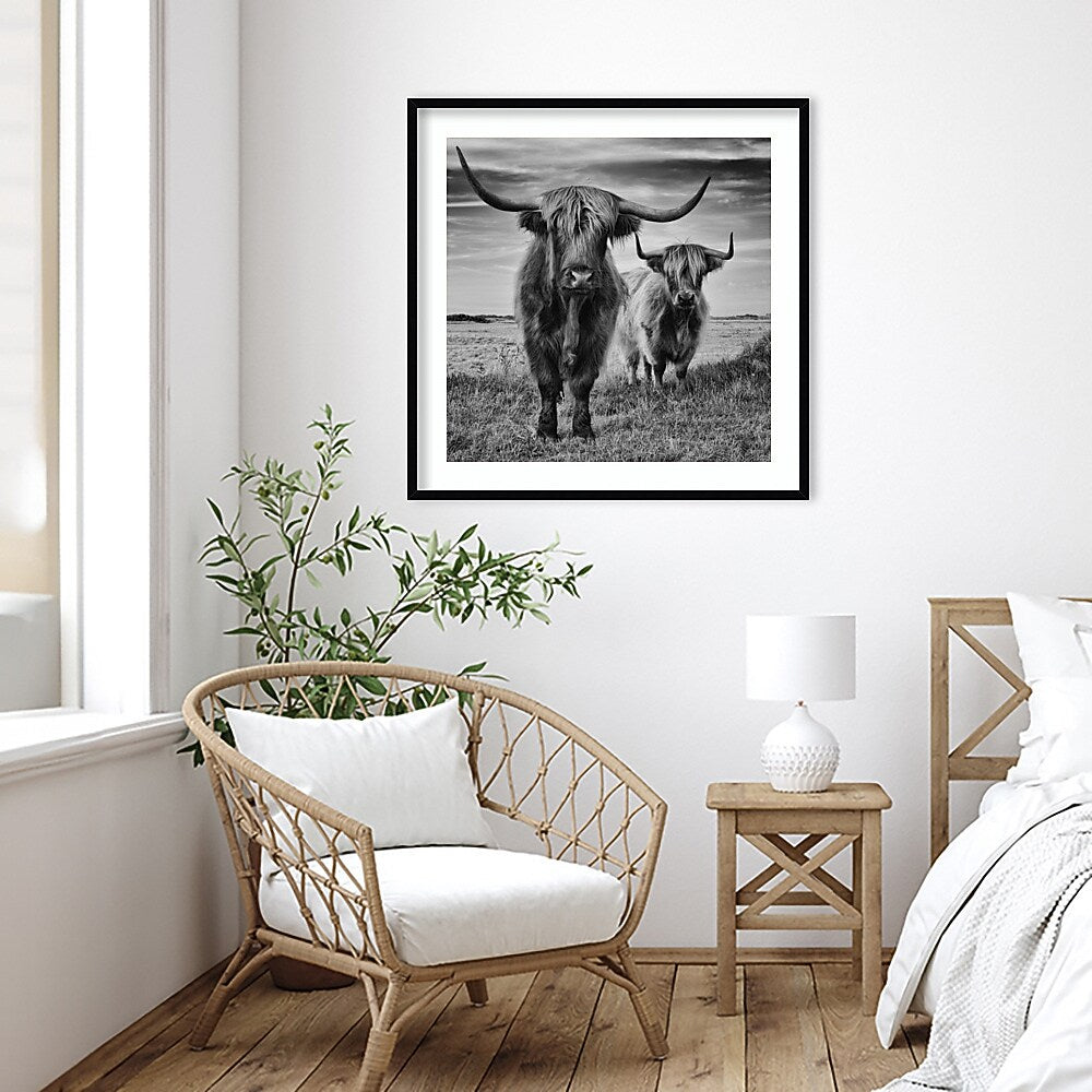 Amanti Art Highland Cow Couple by Stephane Pecqueux Wood Framed Wall Art Print, 33" x 33" (A42677163164)