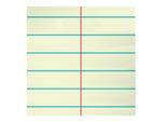Ampad Steno Pad, 6" x 9", Gregg Ruled, White, 80 Sheets/Pad (25-274)