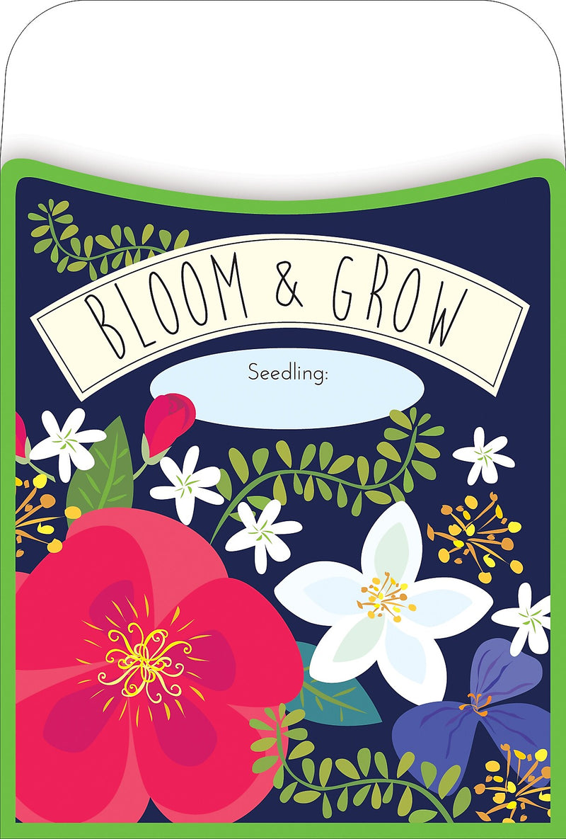 Barker Creek Petals & Prickles Peel & Stick Library Pockets, 5.125" x 3.5", 30/Pack (BC120/Pack6)
