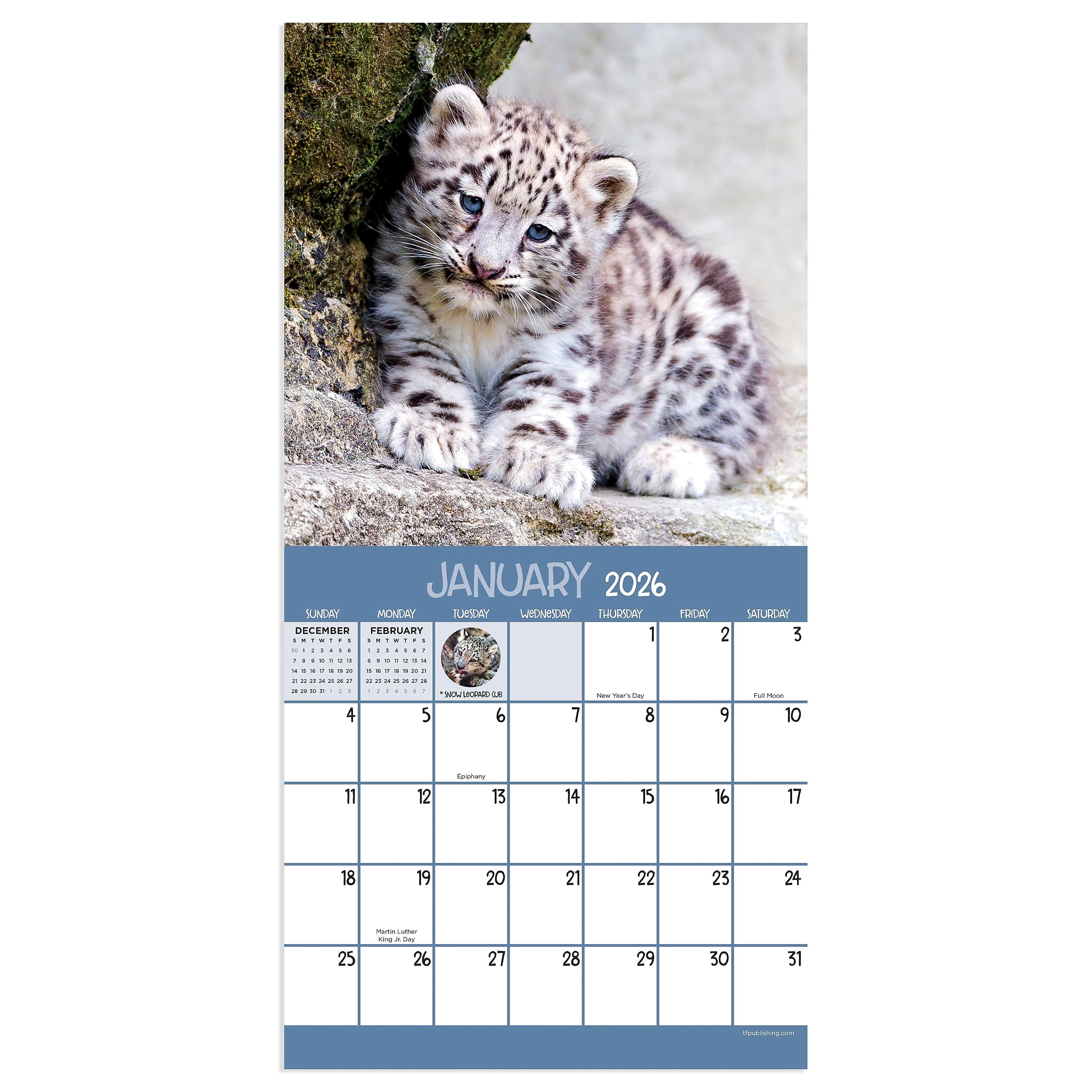 2026 TF Publishing 12" x 17" TF Publishing 7" x 7" TF Publishing 7" x 7" Baby Animals Mini Calendar 26-2000