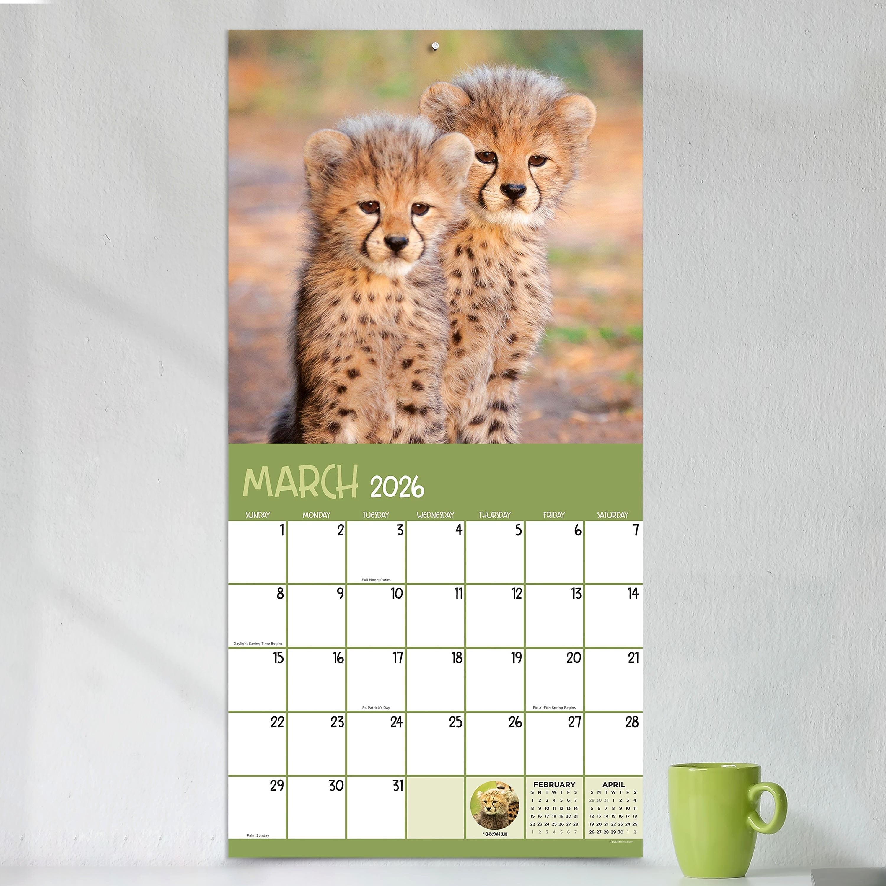 2026 TF Publishing Baby Animals 12" x 12" Monthly Wall Calendar, Multi (26-1000)