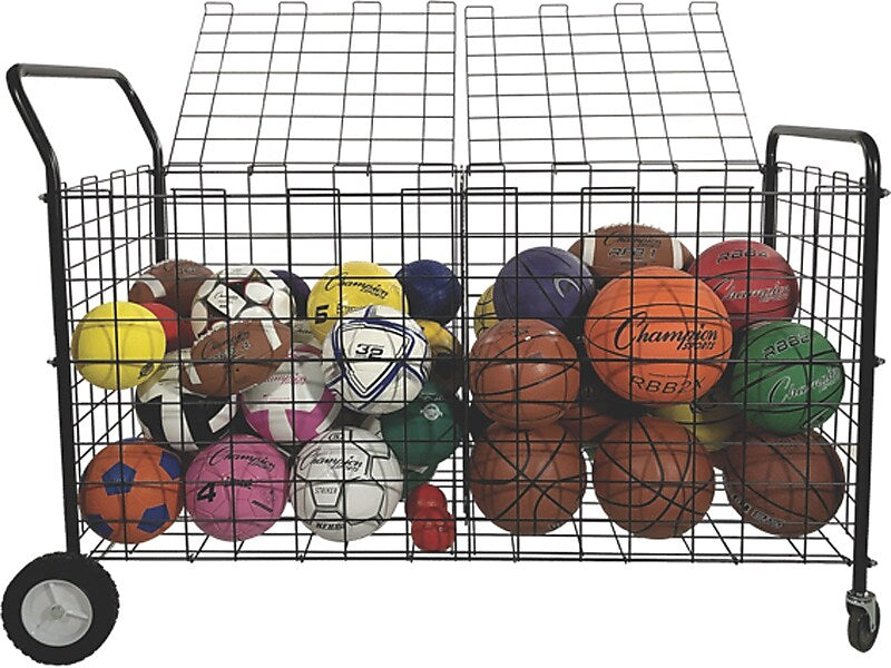 Champion Sports Double-Sided Ball Locker, Black (DSLX)