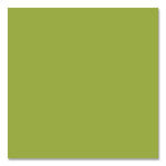 Rust-Oleum Painter's Touch 2X Ultra Cover Spray Paint, Tropical Leaf, 12 oz., 6/Carton (331179)