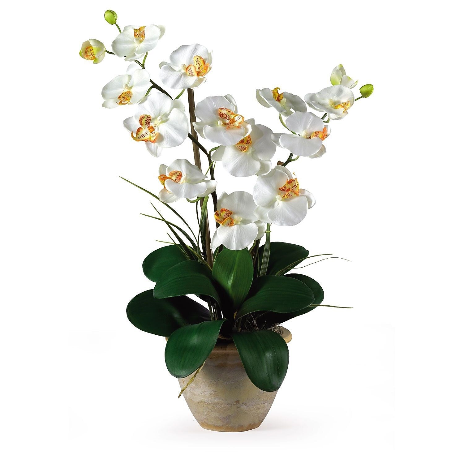 Nearly Natural 1026-CR Double Phalaenopsis Floral Arrangements, Cream