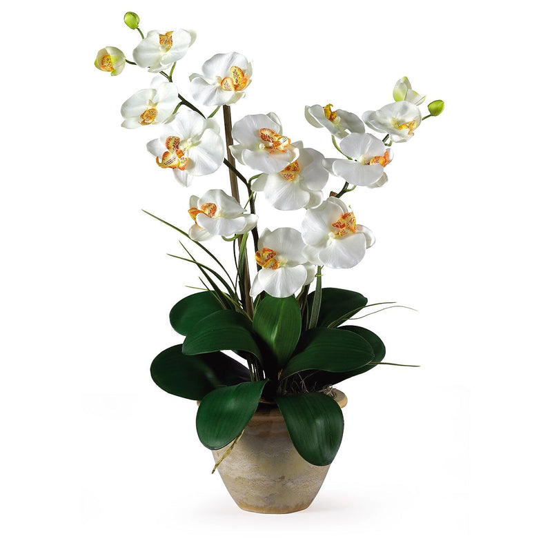 Nearly Natural 1026-CR Double Phalaenopsis Floral Arrangements, Cream