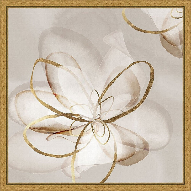 Amanti Art Transparent Beauty II (Floral) by Eva Watts Framed Canvas Wall Art Print, 16" x 16" (A42675040765)