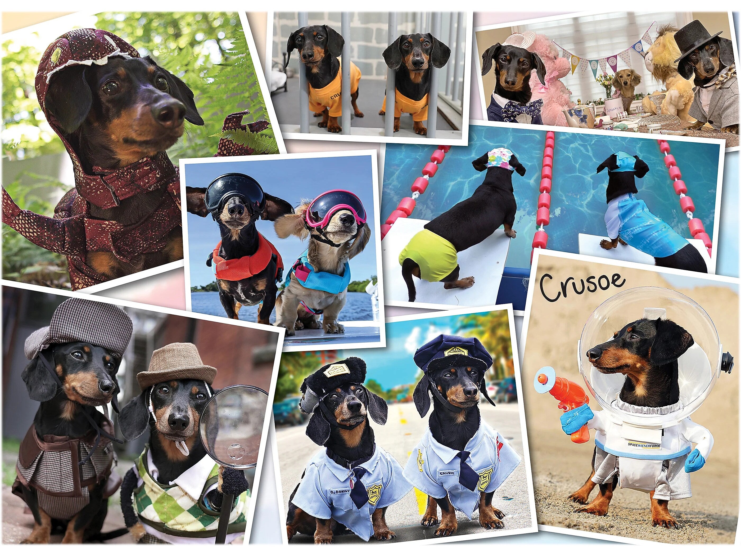 Willow Creek Crusoe's Greatest Hits 1000-Piece Jigsaw Puzzle (49328)