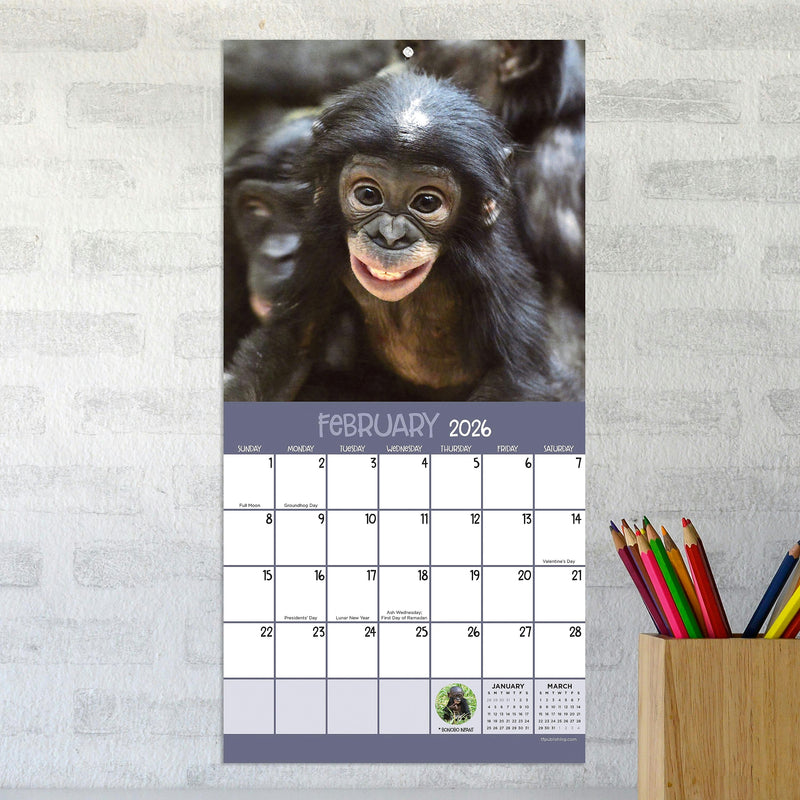 2026 TF Publishing 12" x 17" TF Publishing 7" x 7" TF Publishing 7" x 7" Baby Animals Mini Calendar 26-2000