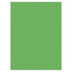 Prang 9" x 12" Construction Paper, Bright Green, 50 Sheets/Pack (P9603-0001)