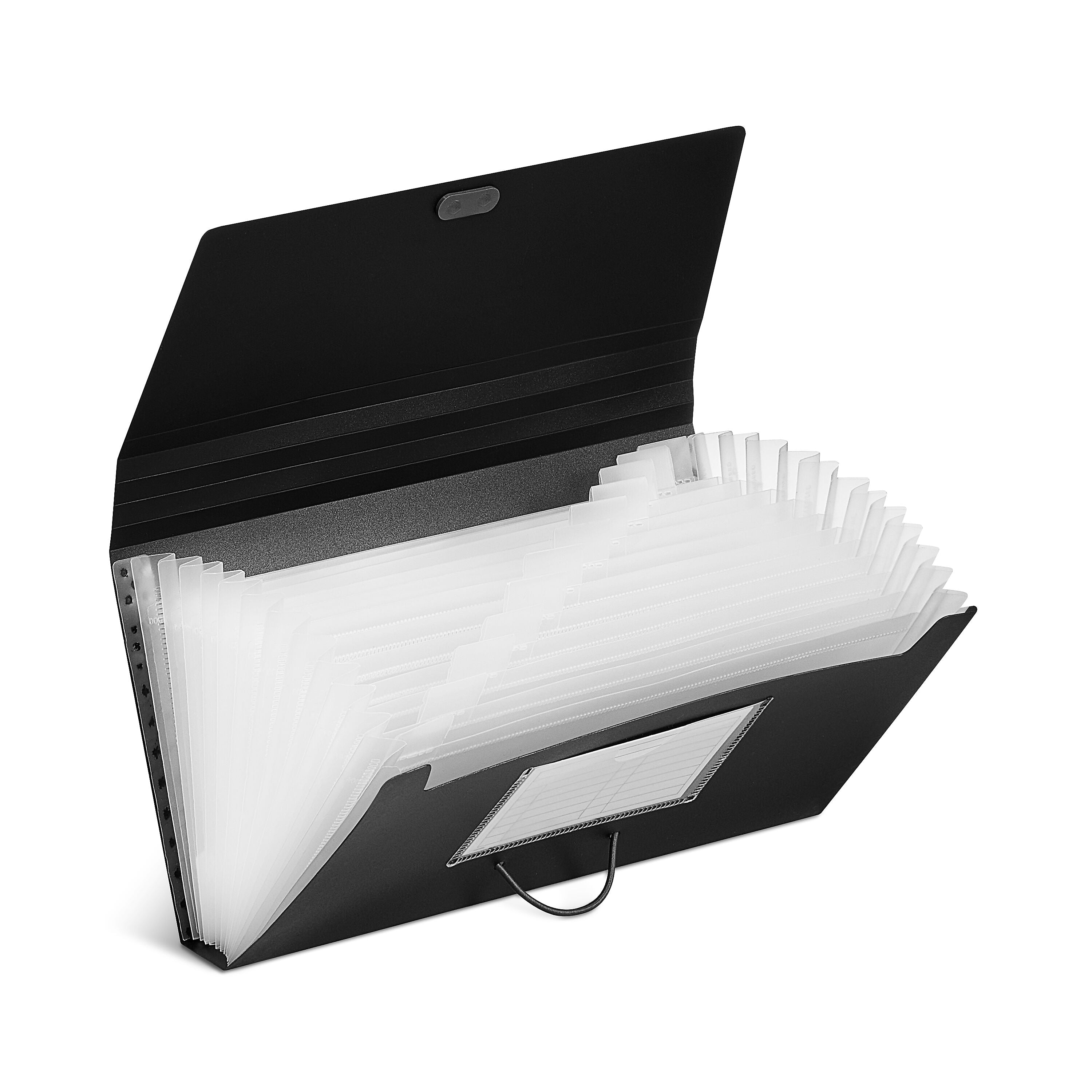 Staples Moisture Resistant Plastic Accordion Files, 13-Pocket, Check Size, Assorted Colors (TR51829)
