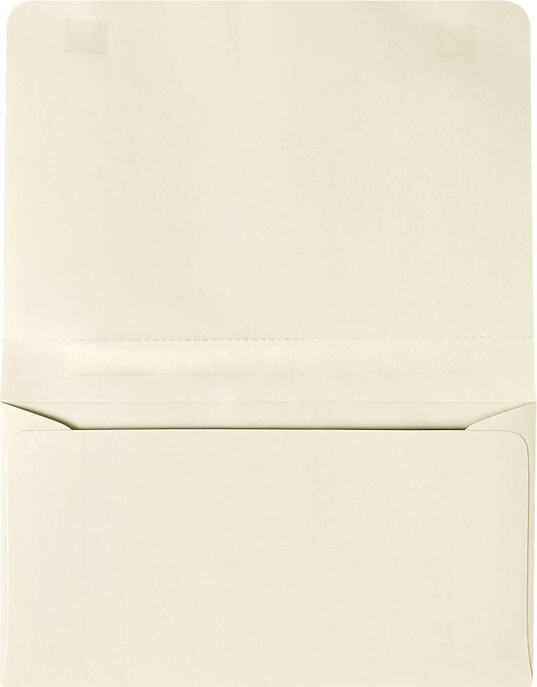 JAM Paper #6 Booklet Envelopes, 4 1/4" x 6 1/4", Cream, 50/Pack (R3867-50)