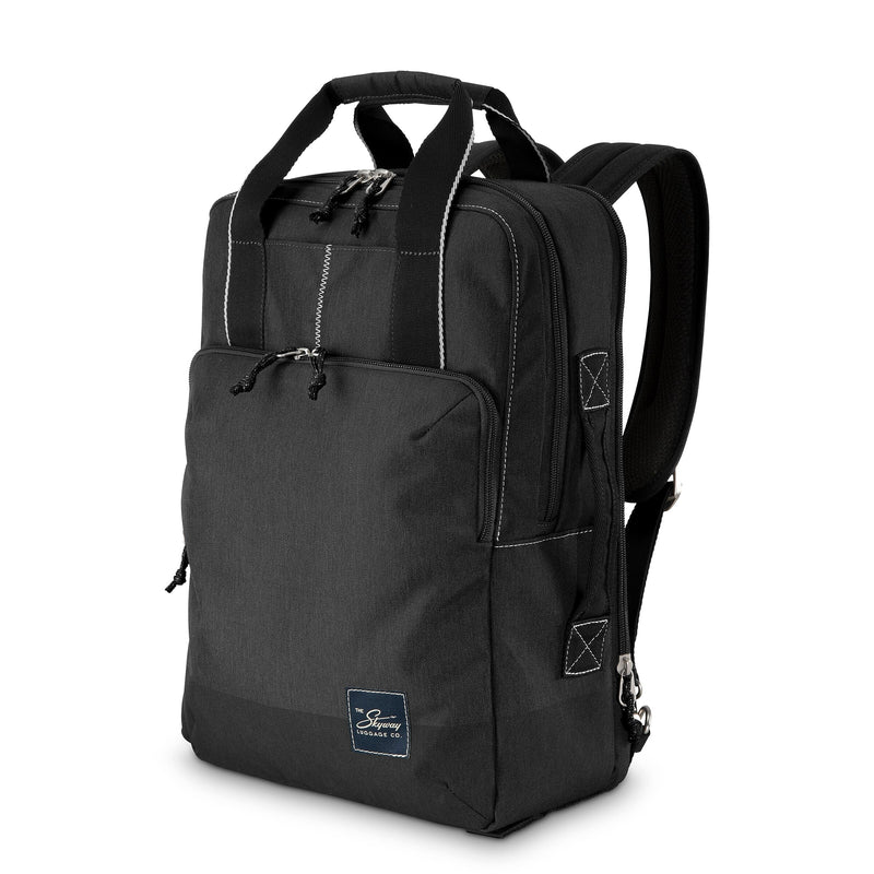 Skyway Luggage Rainier Deluxe Laptop Backpack, Crater Black (505-17-001-BKP)