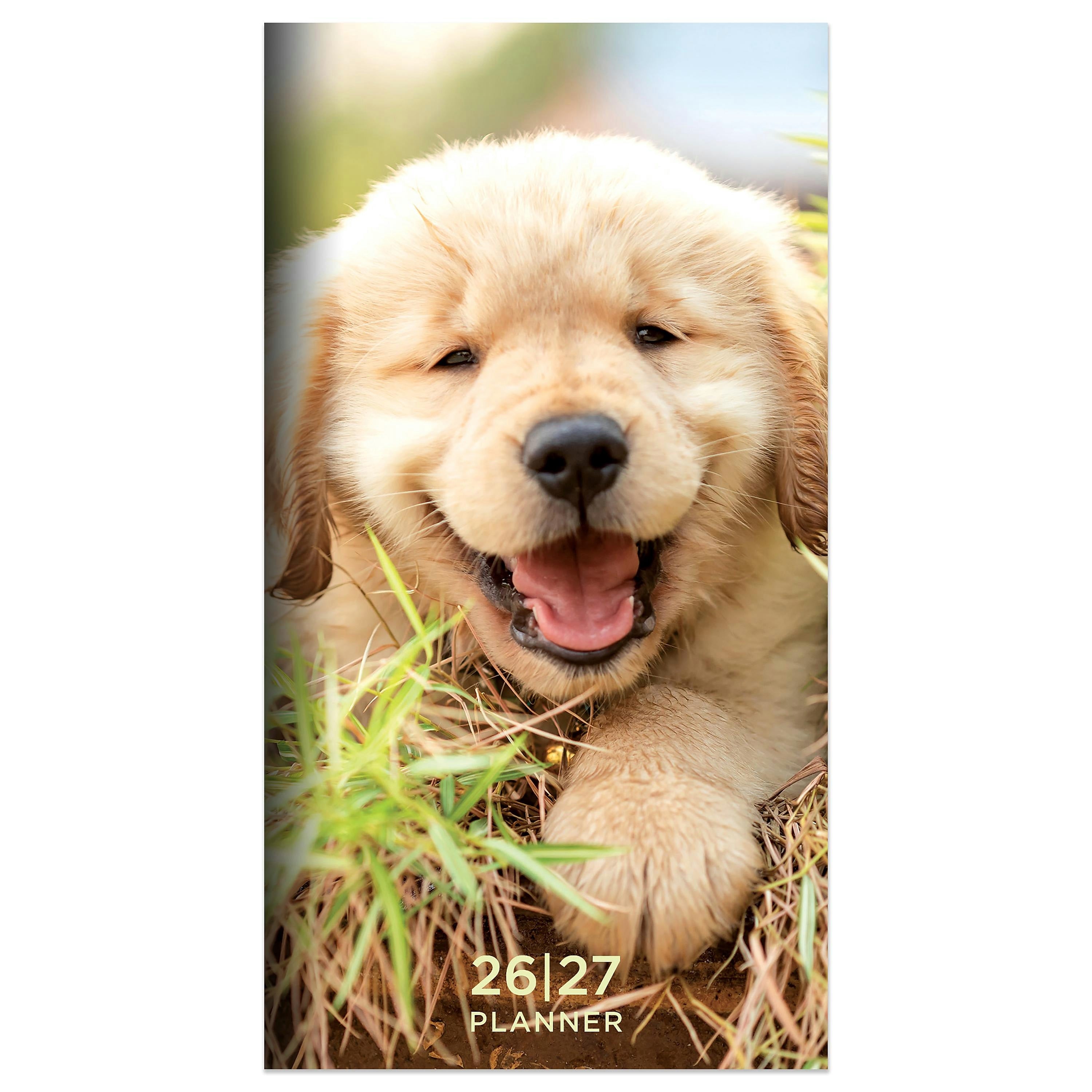 2026-2027 TF Publishing Dog 3.5" x 6.5" Monthly, Paperboard Cover, Multicolored (26-7016)