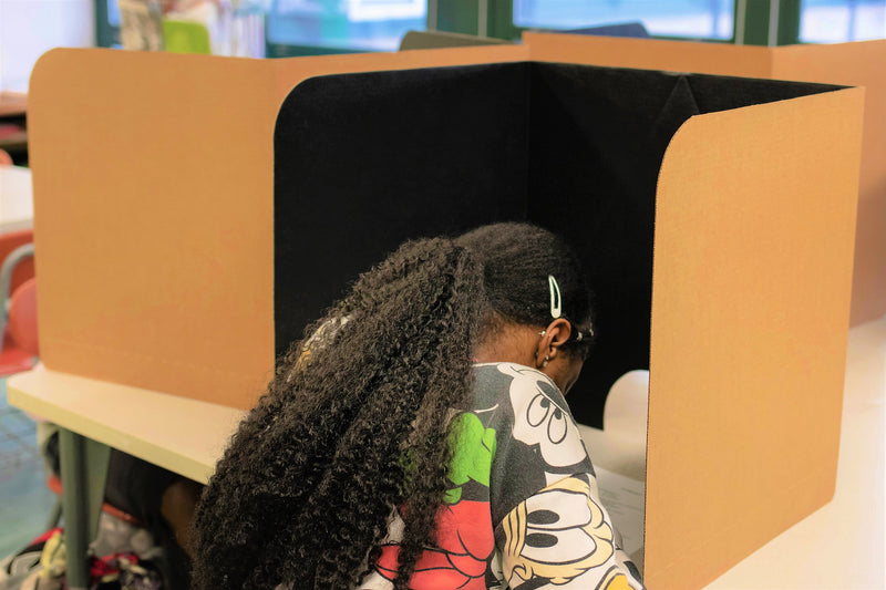 Classroom Products Foldable Cardboard Freestanding Privacy Shield, 20"H x 20"W, Black/Kraft, 20/Box (VB2020 BK)