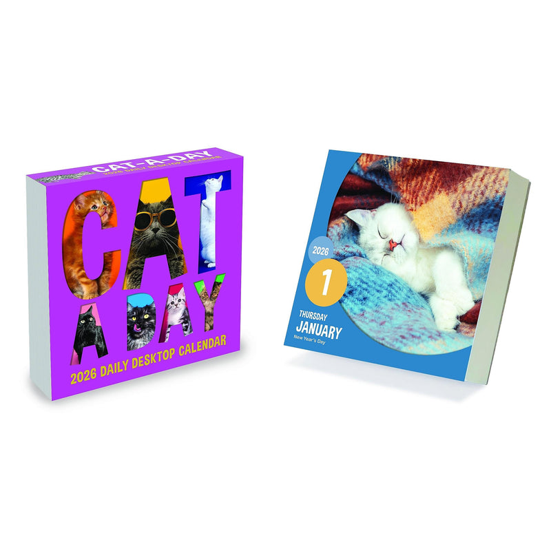 2026 TF Publishing 5.25" x 5.25" Daily Day-to-Day Calendar, (26-3002)
