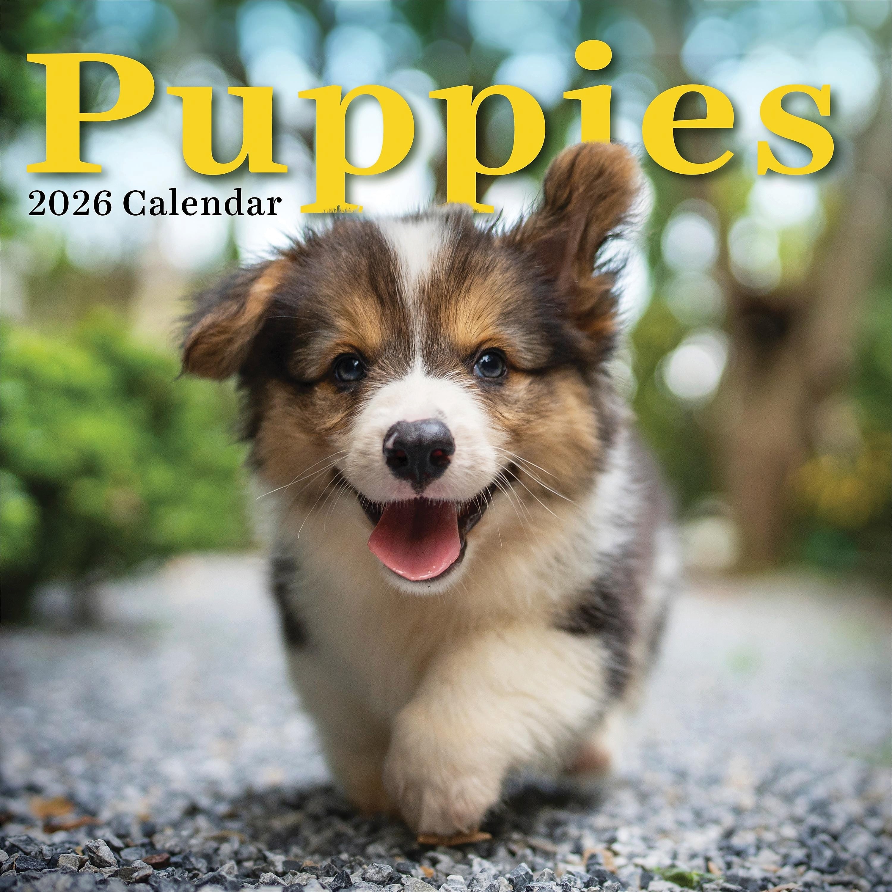 2026 TF Publishing Puppies 12" x 12" Monthly Wall Calendar, Multi (26-1025)