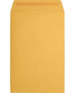 JAM Paper Catalog Envelope 6" x 9", Brown Kraft Manila, 50/Pack (1693i)