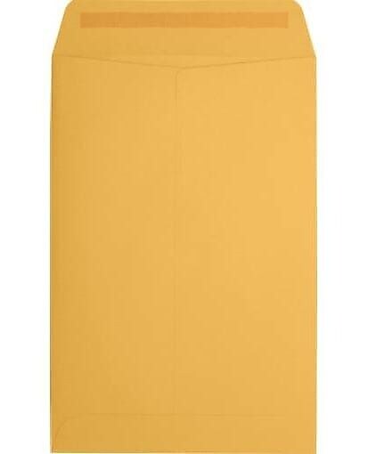 JAM Paper Catalog Envelope 6" x 9", Brown Kraft Manila, 50/Pack (1693i)
