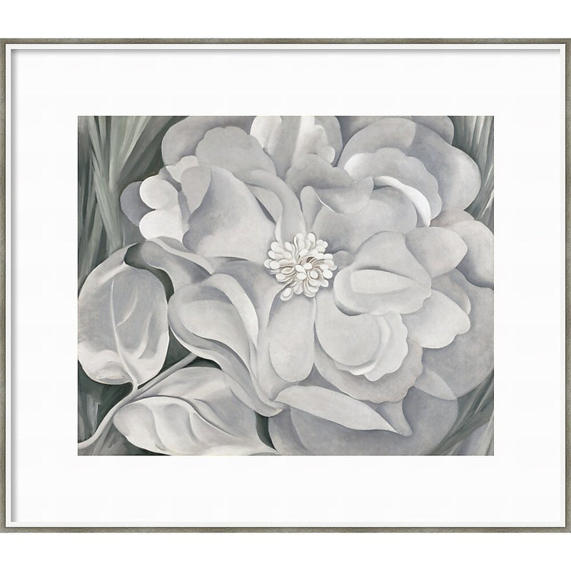 Amanti Art The White Calico Flower 1931 by Georgia O'Keeffe Wood Framed Wall Art Print, 41" x 36" (A42675530275)