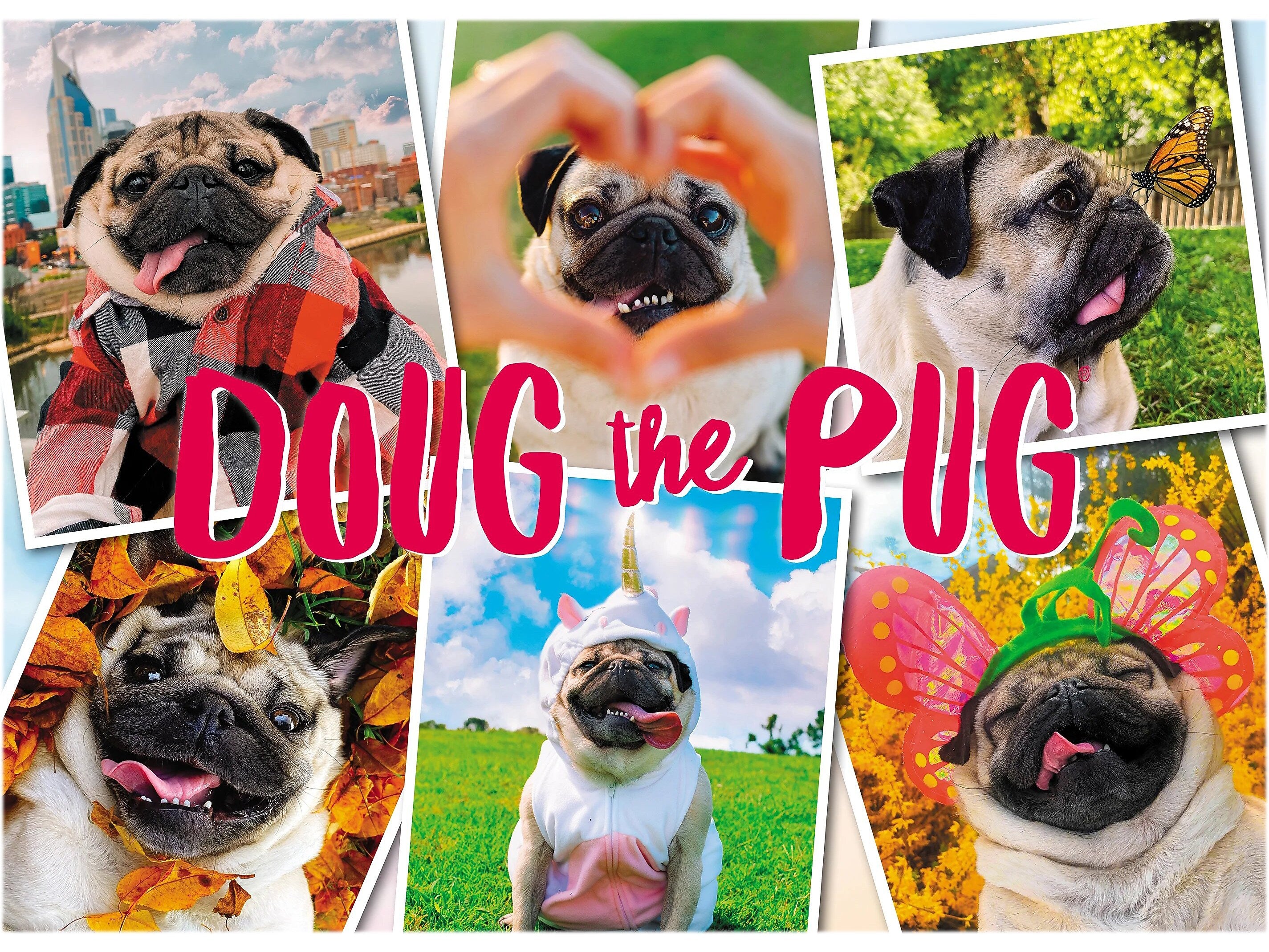 Willow Creek Doug the Pug: Pugs & Kisses 1000-Piece Jigsaw Puzzle (49168)