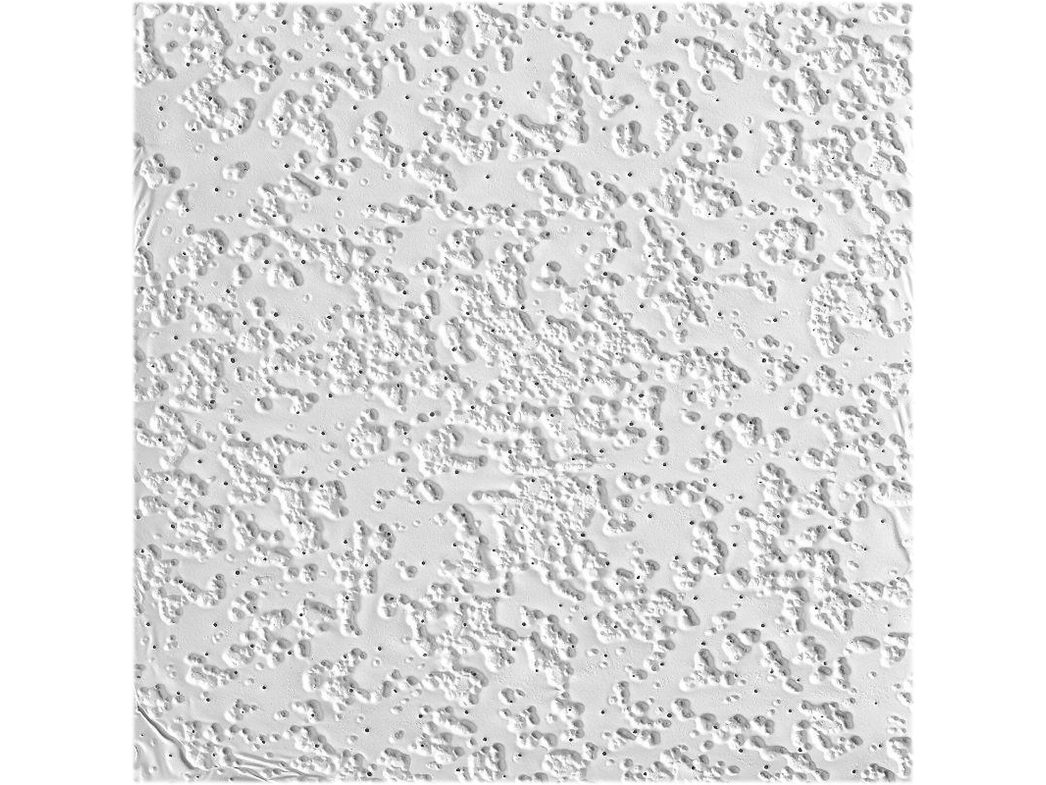Armstrong RANDOM FISSURED Square Lay-In Edge Ceiling Tile, 24" x 48", White, 16/Carton (BP2911A)
