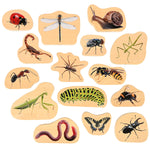 TickiT Wooden Minibeast Blocks, Multicolored, 15/Set (CTU73568)