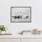 Amanti Art Horse Run I by PHBurchett Framed Canvas Wall Art Print, 24" x 18" (A42675322595)