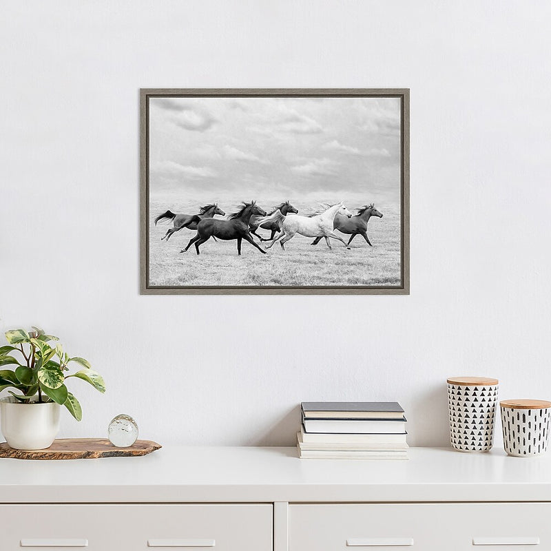 Amanti Art Horse Run I by PHBurchett Framed Canvas Wall Art Print, 24" x 18" (A42675322595)