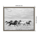 Amanti Art Horse Run I by PHBurchett Framed Canvas Wall Art Print, 24" x 18" (A42675322595)