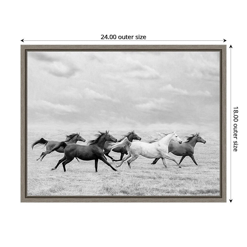 Amanti Art Horse Run I by PHBurchett Framed Canvas Wall Art Print, 24" x 18" (A42675322595)