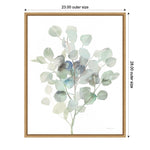 Amanti Art Eucalyptus III Cool by Danhui Nai Framed Canvas Wall Art Print, 23" x 28" (A42677089685)