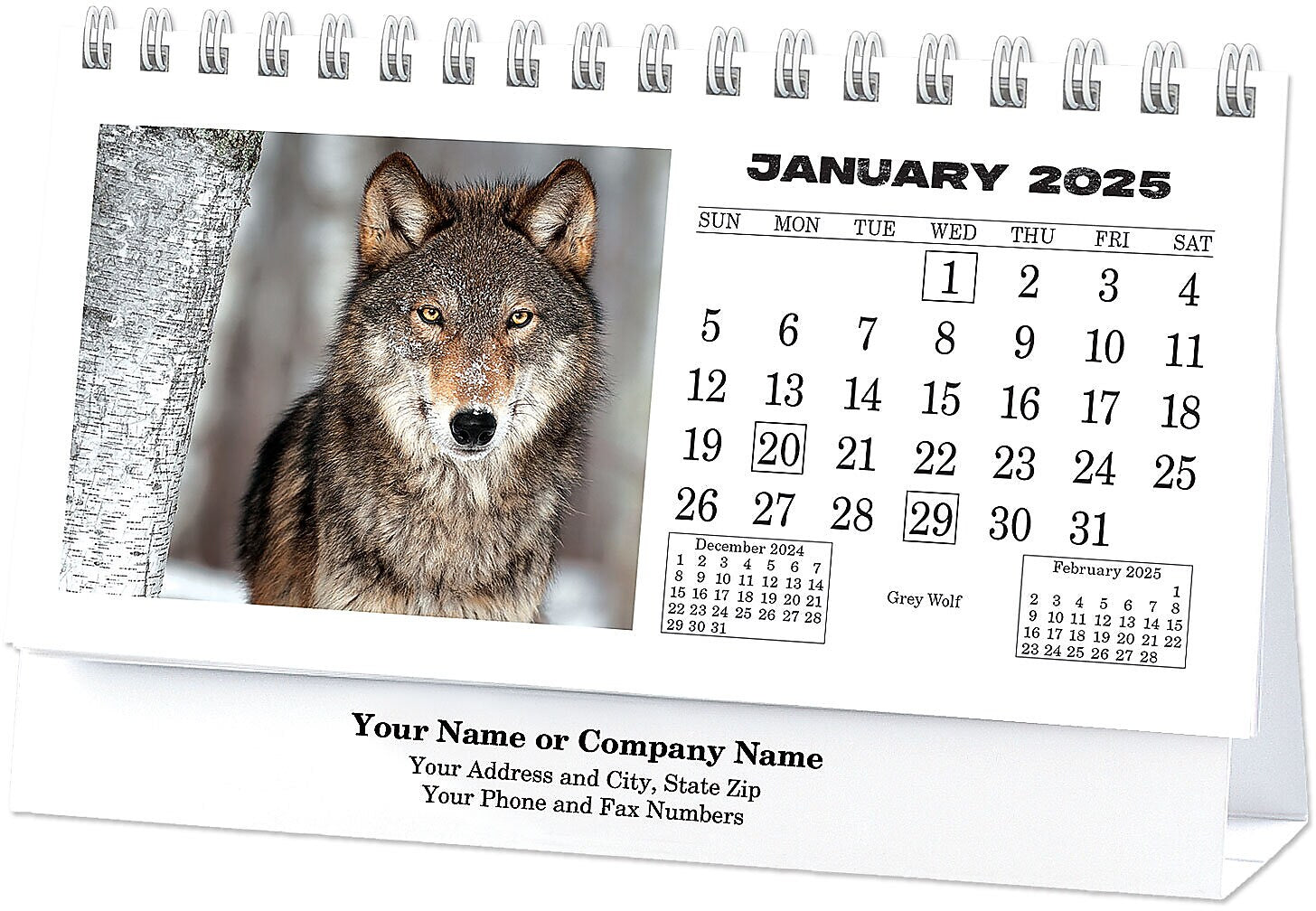2025 North American Wildlife Desk Calendar, Qty 50
