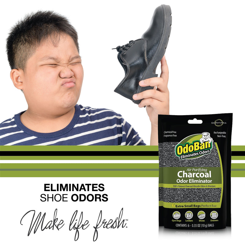 OdoBan Air Purifying Charcoal Deodorizer Solid, 6/Pack (9760A61-10M6P)