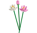 LEGO Botanicals Lotus Flowers, 220 Pieces (40647)
